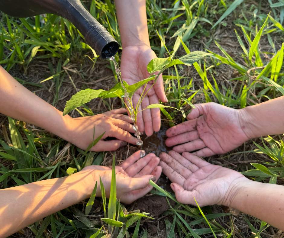 Turismo Regenerativo no Recanto Ecológico Rio da Prata: Experiência e Conexão com a Natureza através do Plantio de Mudas