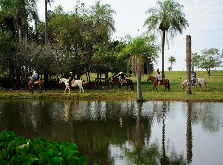 5 opções de passeio a cavalo para fazer no Pantanal do Mato Grosso do Sul